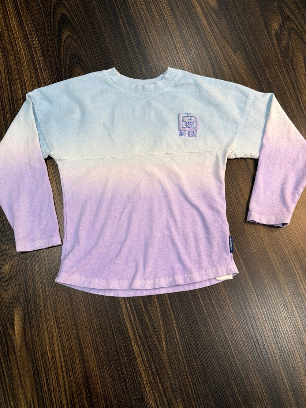 Disneyland WDW Spirit Jersey YOUTH X-Small Gradient Purple White Blue